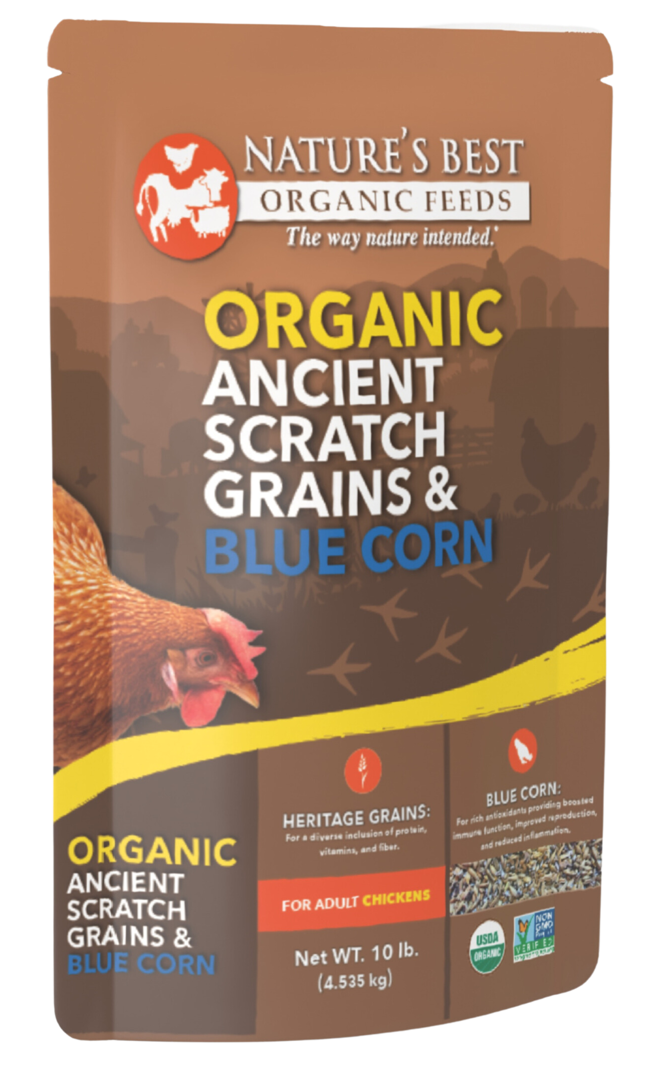 Organic Ancient Scratch Grains & Blue Corn