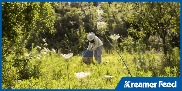 Top Performing Organic SKUs for Spring