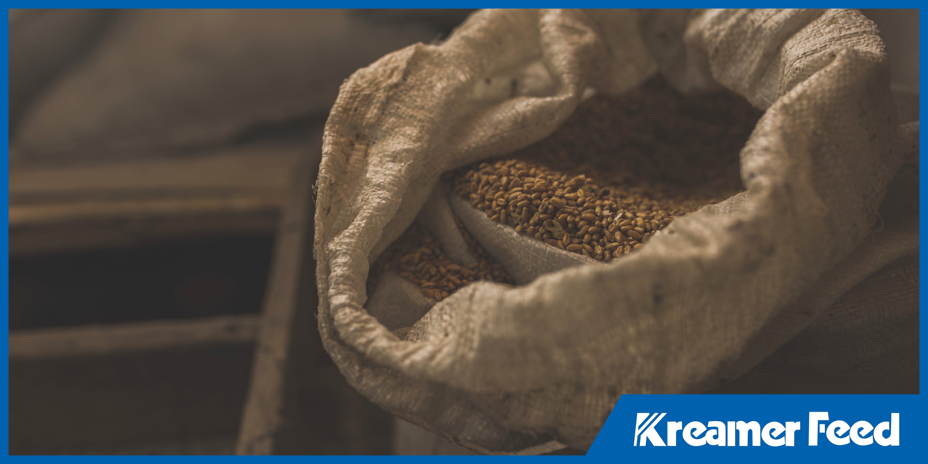 Packing Smart: Advantages of Bagged and Bulk Feed for Small vs. Large Farms