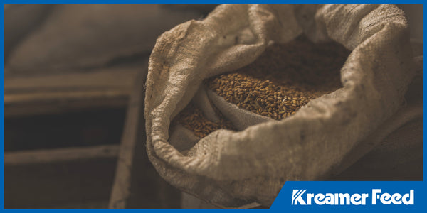 Packing Smart: Advantages of Bagged and Bulk Feed for Small vs. Large Farms