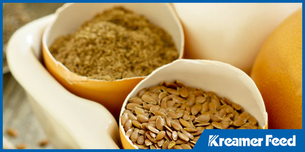 Protein, Fiber, Fats: Understanding Macronutrients in Poultry and Livestock Feed