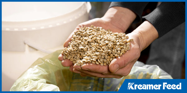 Why Feed Freshness Matters: The Shelf Life of Organic and Non-GMO Feeds
