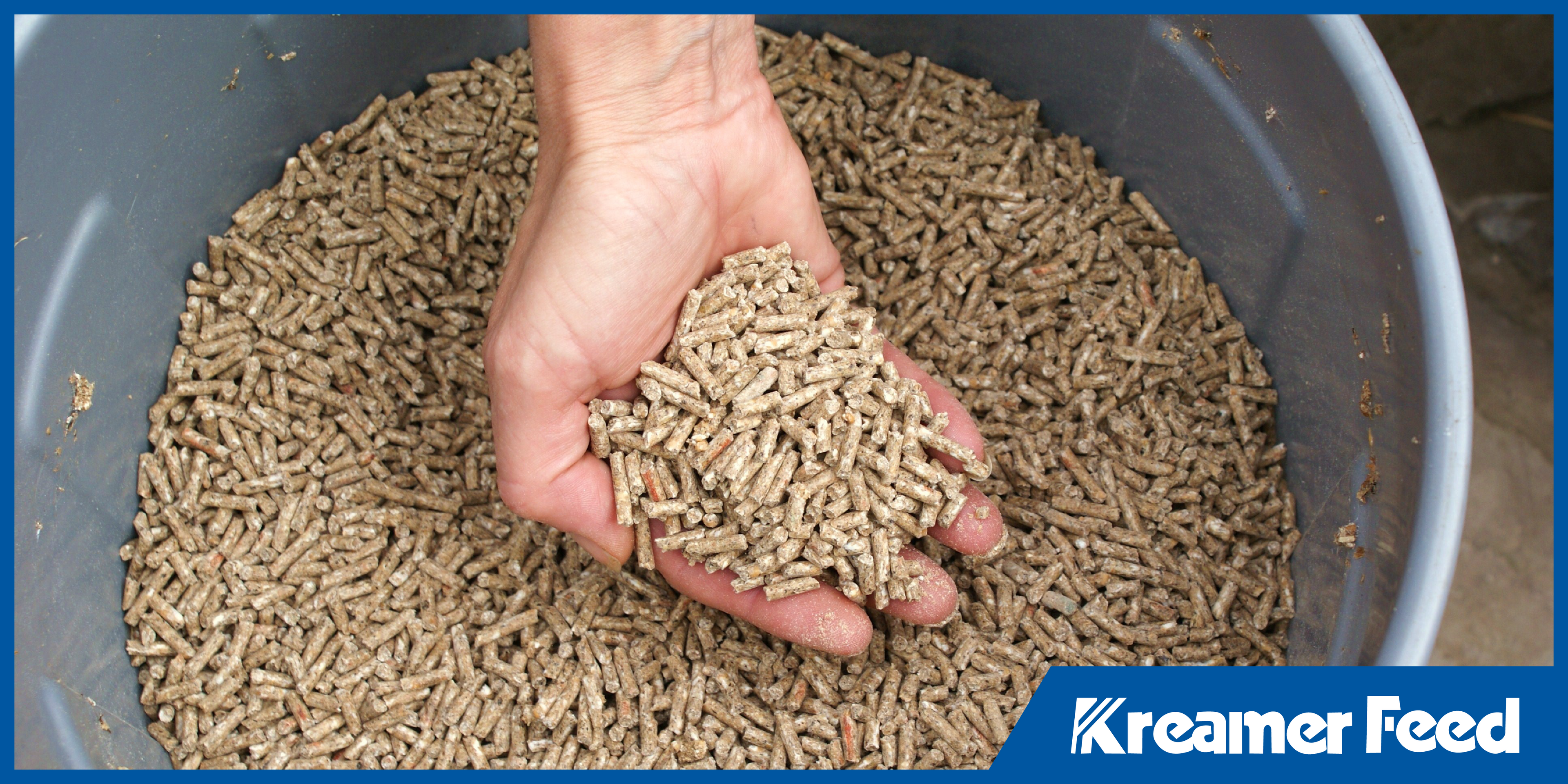 Pellet Quality Matters: How Shape, Size, and Durability Affect Animal Intake