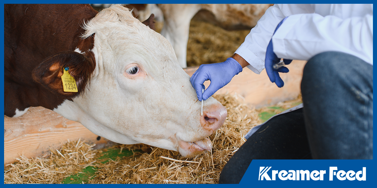 Feed mill quality testing process to ensure animal health