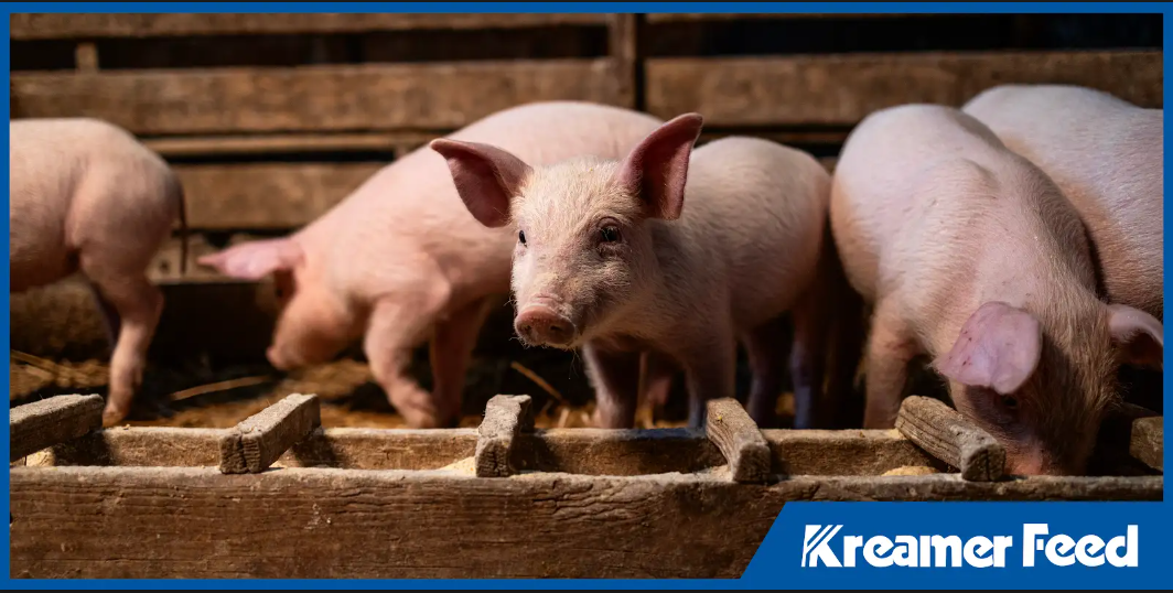 consistent feed formulation