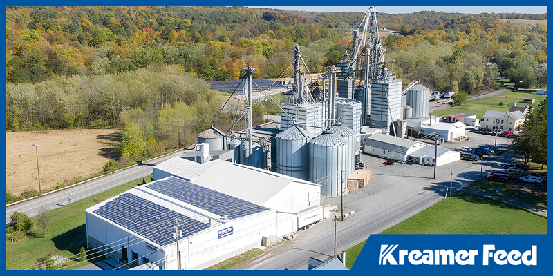 Inside a Family-Owned Feed Mill: How Generations of Experience Shape Better Feed