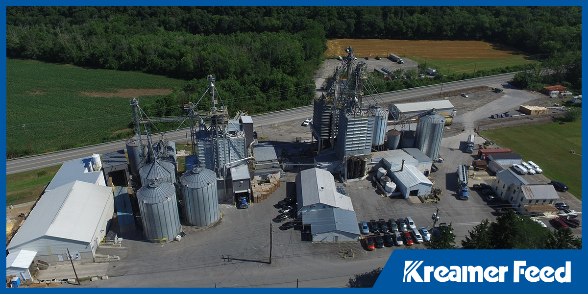 Feed Mill Innovations: How Tech Improves Quality – Kreamer Feed