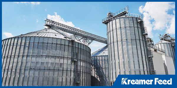 Why Sustainable Feed Solutions Start at the Feed Mill, Not the Farm Gate