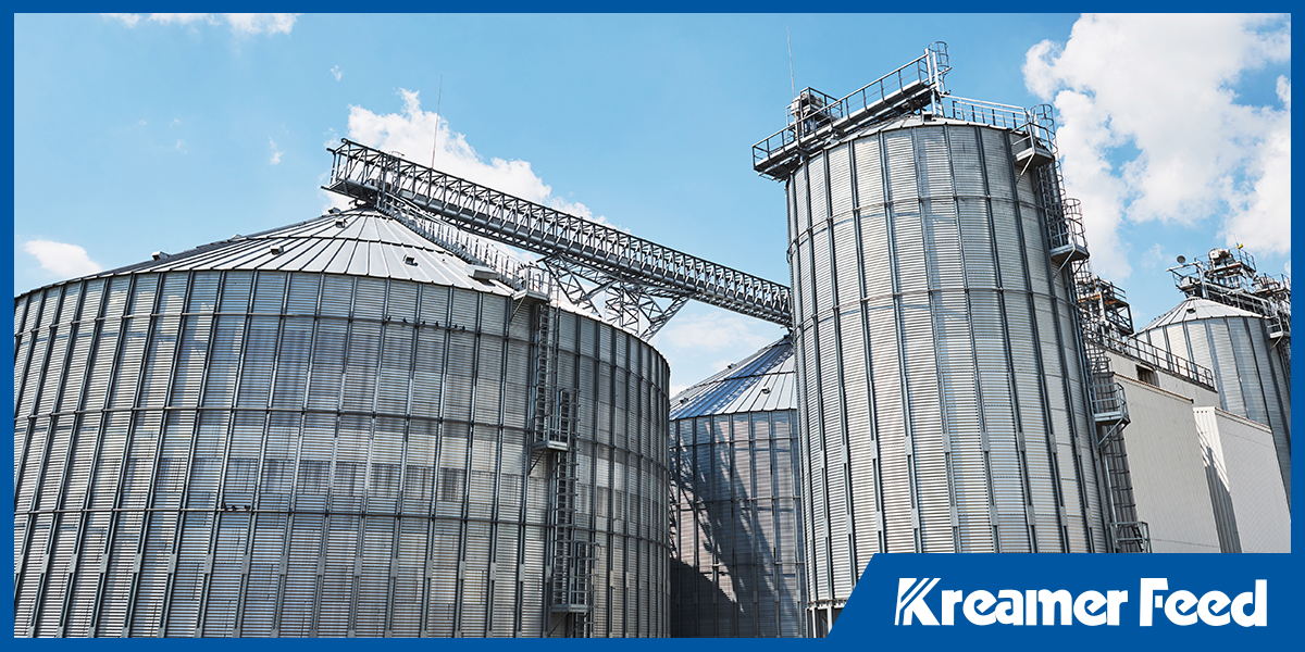 Why Sustainable Feed Solutions Start at the Feed Mill, Not the Farm Gate