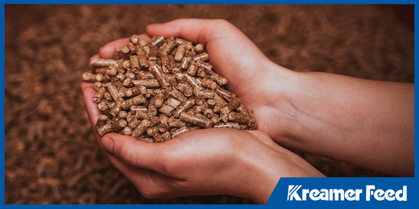 Wholesale Animal Feed 101: What Retailers and Large Farms Need to Know