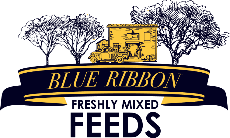 Blue Ribbon Feeds