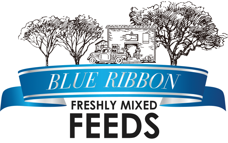 Blue Ribbon Feeds Hover