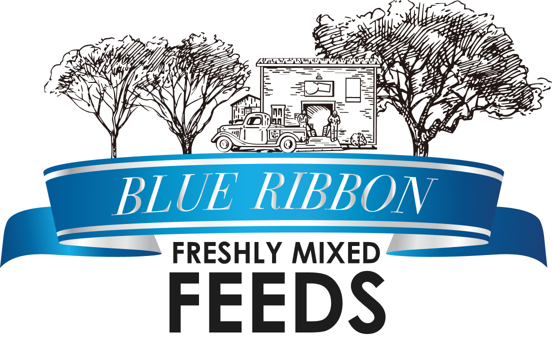 Blue Ribbon Feeds Hover