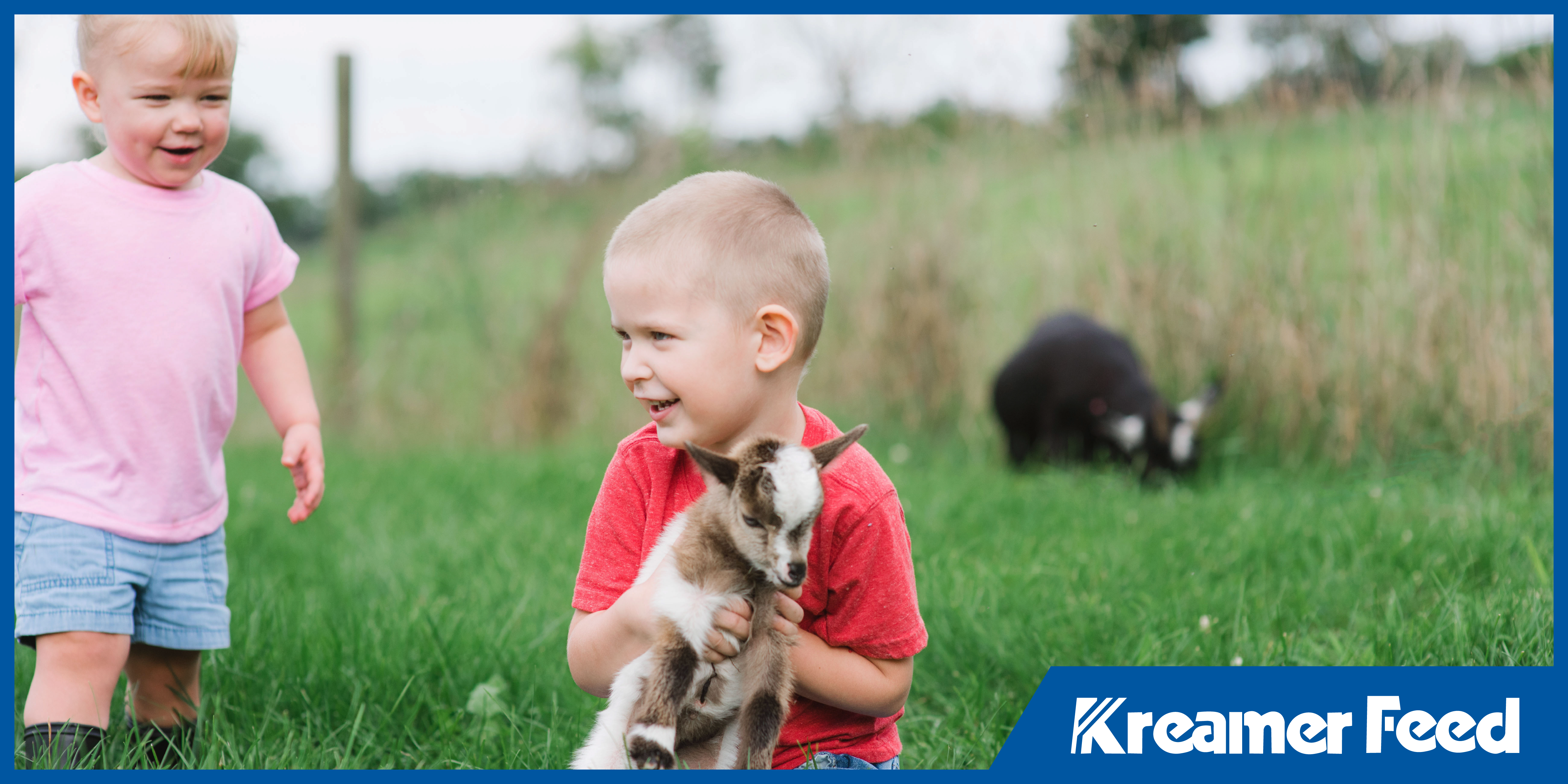 organic feed benefits