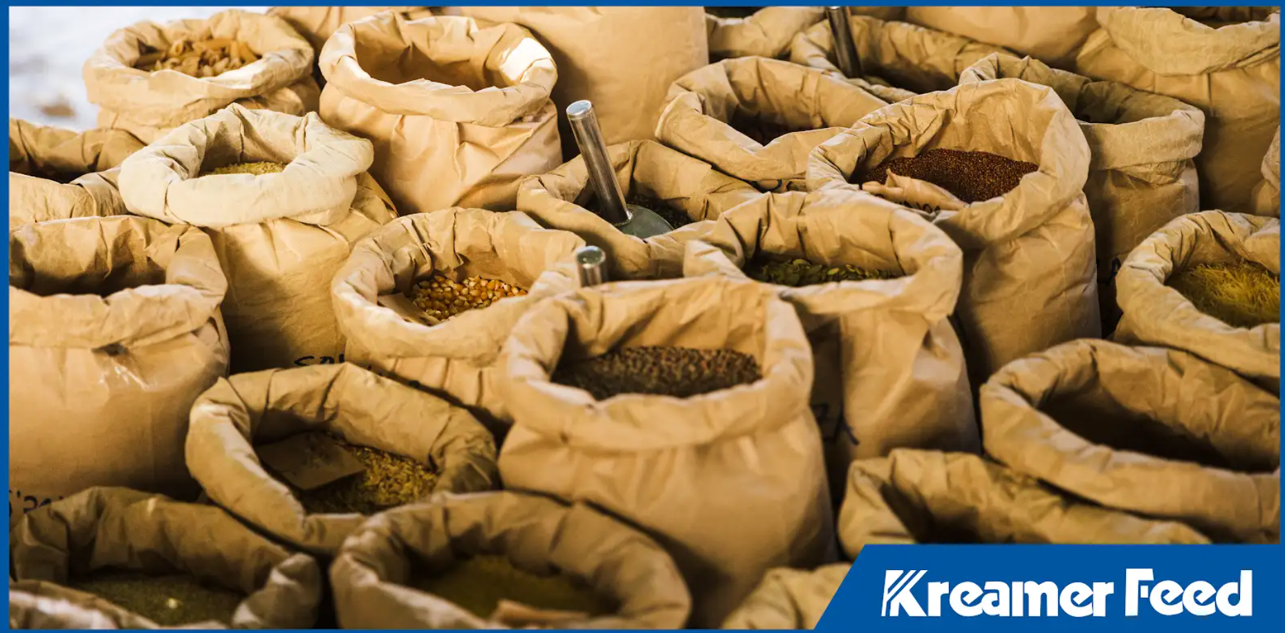 Quality Organic Feed Pellets