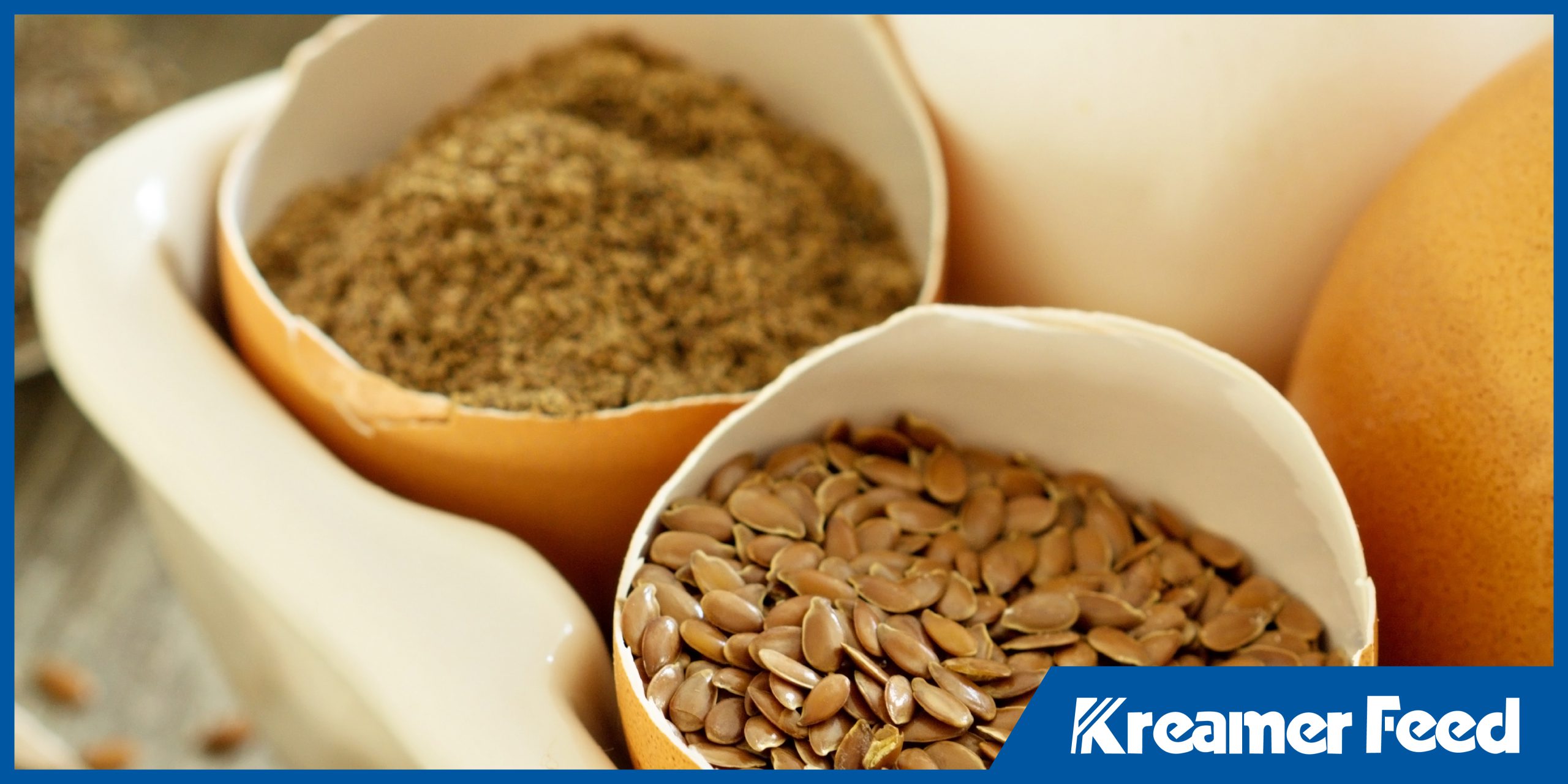 poultry feed