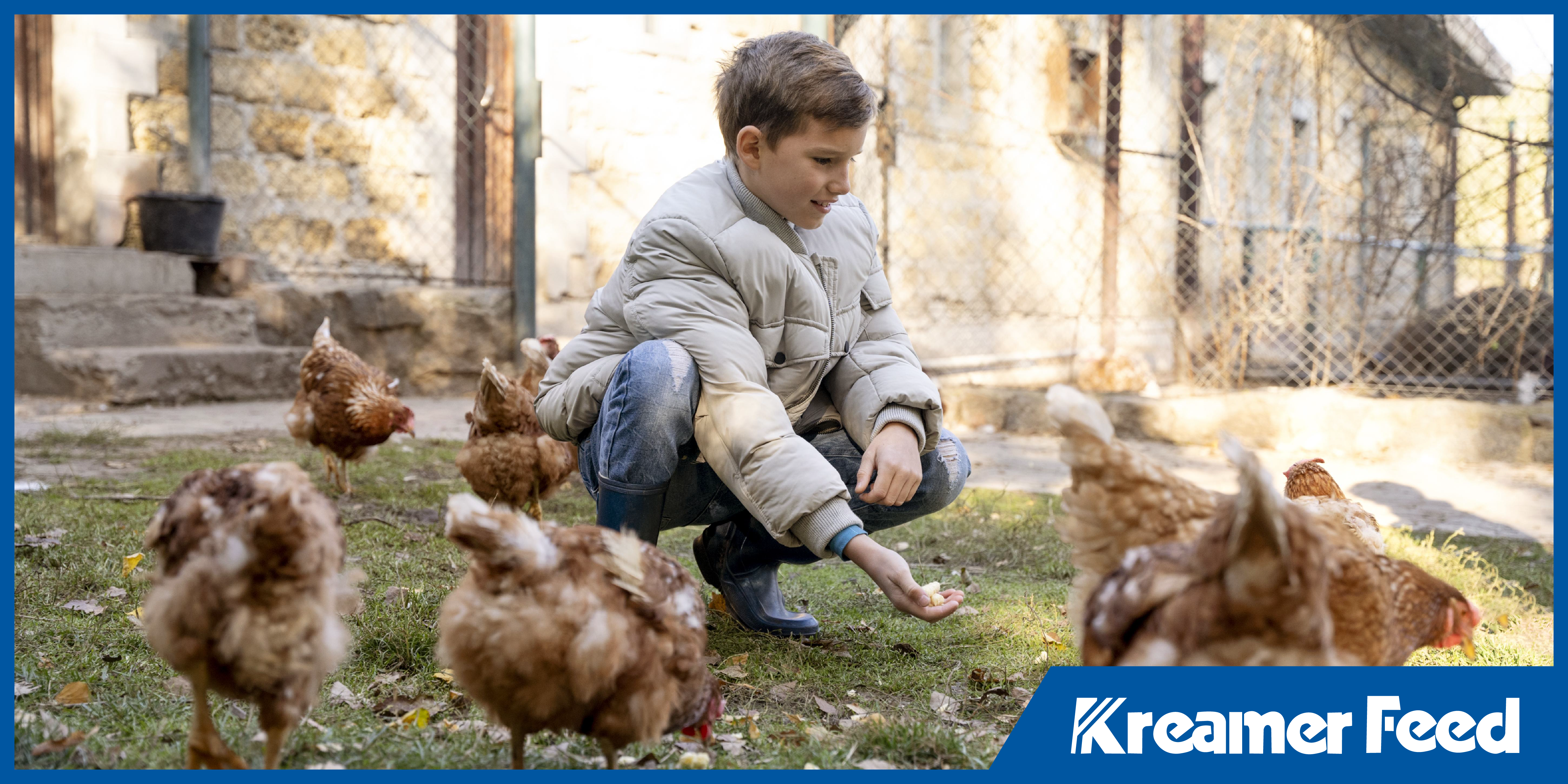 poultry nutrition feather growth